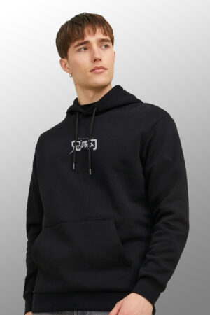 Fury of the Wind Hoodie